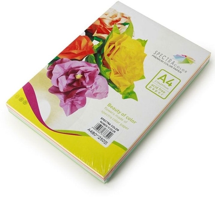 Color Paper 80gsm A4 250 Sheets 10 Colors · Stationery 8234